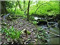 Nant Felin-blwm