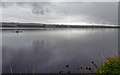 NH5557 : Upper reaches of the Cromarty Firth by valenta