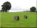 NT9728 : Field with reels near Humbleton by Andrew Curtis