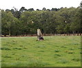 Glenkindie standing stone