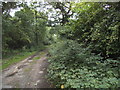 Bridleway to Bushwood Farm, Havering