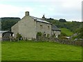 Stripe Head Farmhouse