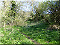 Course of Dorset and Somerset Canal