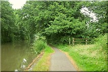 SP1869 : Stratford-upon-Avon Canal by the M40 bridge by Derek Harper