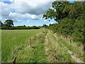 Farm track near Orchard Farm