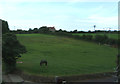 Grazing, Penponds