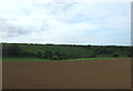 Field near Roseworthy Barton