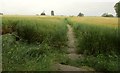 Heart of England Way from Edge Lane