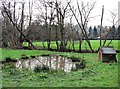 Pond and duck house in Line valley, Whatlington