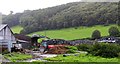 SN6380 : Pwllcenawon Farm from the Vale of Rheidol Railway by Richard Hoare