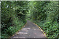 Path from Bayford to White Stubbs Lane