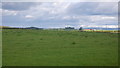 Pasture near Kilmaurs