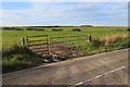 Field entrance near Lochanside, A836