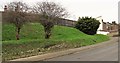 Landscaped bank in Robertsons Hill, Halton, Hastings