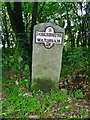 Old Milestone by the A352, Winterborne Came