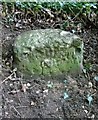 SY7187 : Old Milestone by the A352, West Knighton by Milestone Society