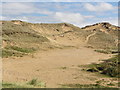 SW7659 : Holywell Bay Sand Dunes by Tony Atkin