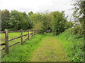 Track near Dart Bridge, Buckfastleigh