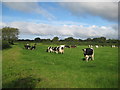 Grass field off Lopen Road