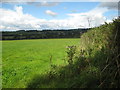 View towards Winsham from Maudlin Cross