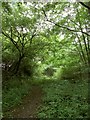 SP1866 : Path near Kingswood Brook by Derek Harper