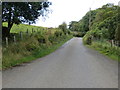 Road heading up Shinnel Glen and approaching Birkhill