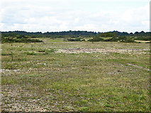 SU4964 : Site of runway, Greenham Common by Robin Webster