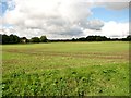 View towards Lower Spinks Lane