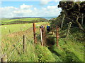 Hen gat fochyn / Old kissing gate