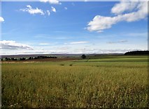 NZ0352 : Arable fields west of the A68 by Robert Graham
