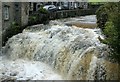 Gayle Beck from Hawes Bridge