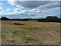 Field of stubble, Park Stile