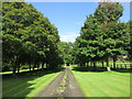 Avenue leading to Lewcombe Manor