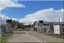 TL4944 : At Hinxton Level Crossing by John Sutton