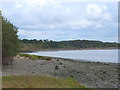 SJ4481 : North Bank of The Mersey at Oglet by Gary Rogers