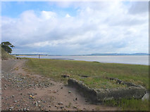SJ4481 : Dungeon Point on the River Mersey by Gary Rogers