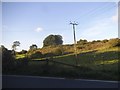 Field by the A436, Ullenwood