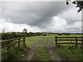 Gate on a road to Beaworthy