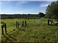 Parc Slip Nature Reserve