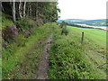 The Speyside Way by the Woods of Knockmore