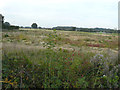 Farmland, Chilmington Green Road