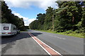 TL8289 : A134 Mundford Road, Lynford by Geographer