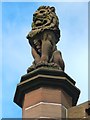 NS3975 : Dumbarton Municipal Buildings: stone lion by Lairich Rig