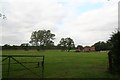 Sheep in a field on the corner of Moor Lane and Stixwould Wood