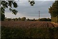 Fields off Hale Road, Horsington