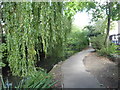 The New River Walk Canonbury