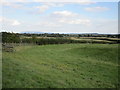 Grass field near Berrow