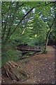 River Ching Bridge in Highams Park