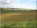SE0031 : Moorland View beside the A6033 by G Laird