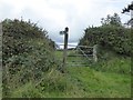 Footpath to Maddaford from Southcott